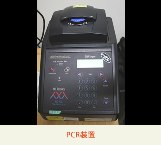 PCR装置