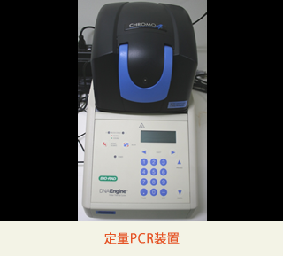 定量PCR装置